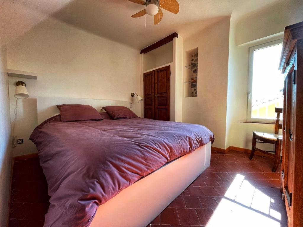 La Maison De Lily, Cosy Dans Le Vieux-Hyeres, Parking Gratuit 외부 사진